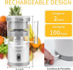 Electric Citrus Juicer – SUPCOOKI🌸